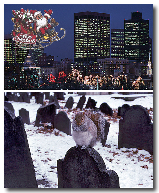 top: downtown Boston in winter; bottom: squirrel at the Granary Burial Ground, Boston
