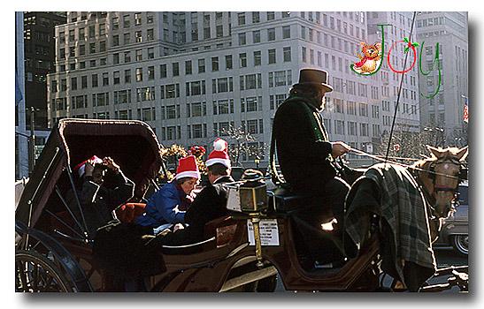 aboard a horse-driven carriage in New York City