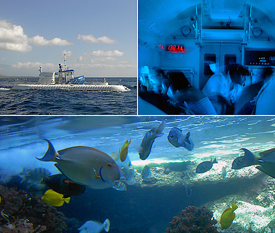 the submarine Atlantis; view inside the submarine; view of corals and fishes from the Atlantis