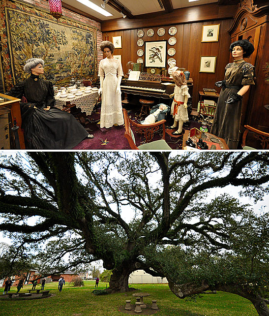 top: exhibit showing family life a century ago at the Imperial Calcasieu Museum; bottom: 375 year-old Sallier Oak at the museum backyard