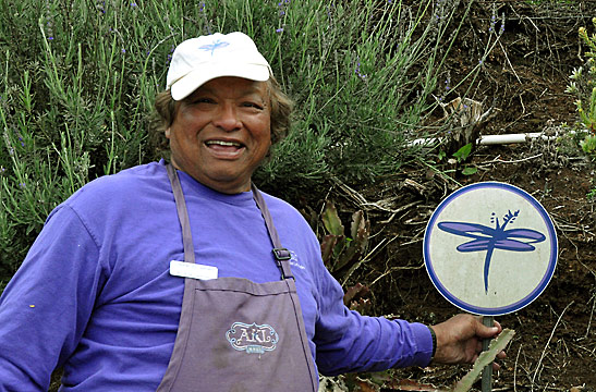the late Ali'i Chang, owner of the Ali'i Lavender Farm, Ulupalakua