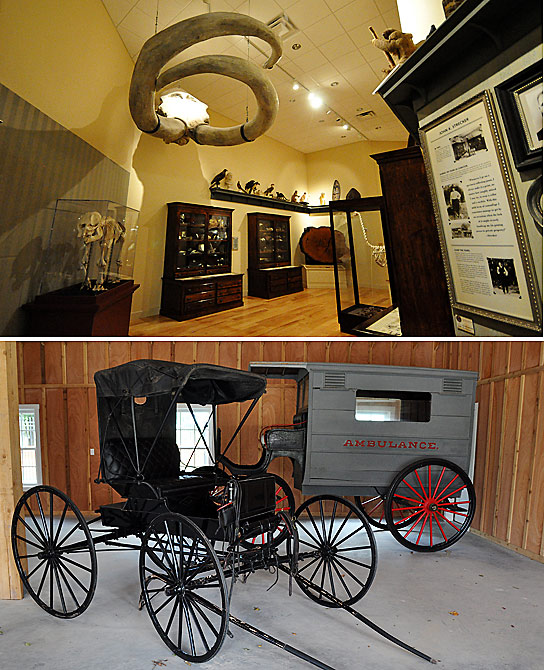 natural history displays, a doctor's buggy and an ambulance at the Sue and Frank Mayborn Natural Science and Cultural History Museum at Baylor University, Texas