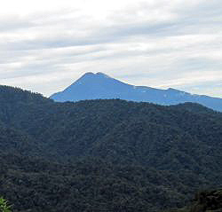 jungle-covered hills above the Napo River Valley with the Andes Mountains in the background