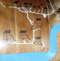 map of Cotococha Amazon Lodge on the Napo River on wooden board