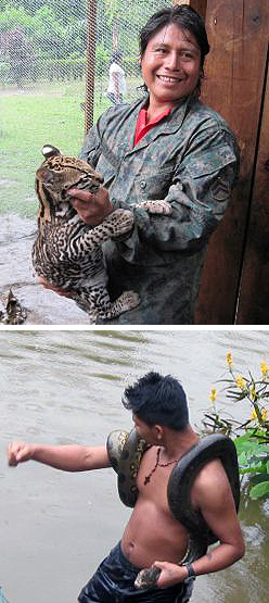 top: Quichuan native with a young ocelot; bottom: native wrestling an anaconda to shore