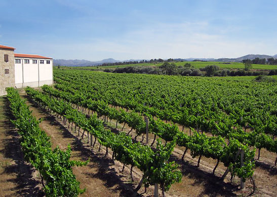 the Quinta dos Termos vineyards in Beira Interior, Portugal