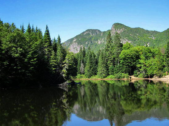 firested shore of lake at Haute-Gorges-de-la-Rivere-Malbaie