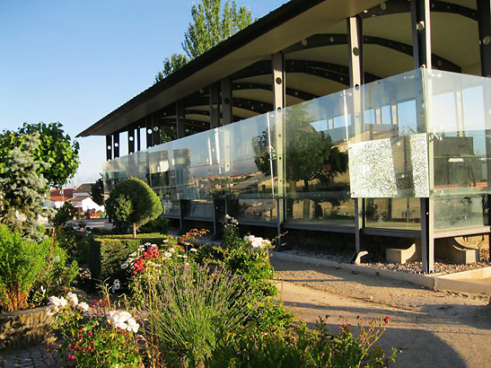 garden reflected in the glass wall of a building housing a train engine