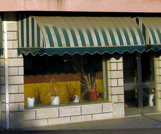 dead plants in window of closed hotel