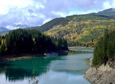 view of tree-lined stream from Rocky Mountaineer train