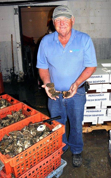 Mike McGee with his oysters