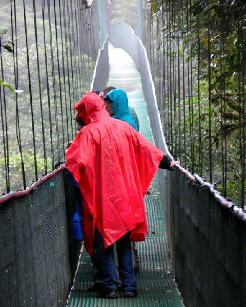 raincoat-clad tourists on a swinging bridge inside a Costa Rican cloud forest