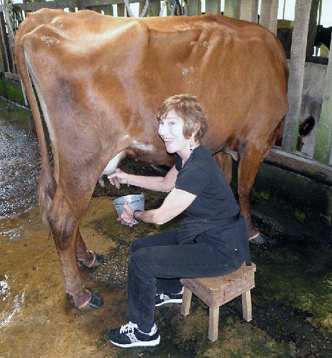 writer milking a cow at a local farm, Costa Rica