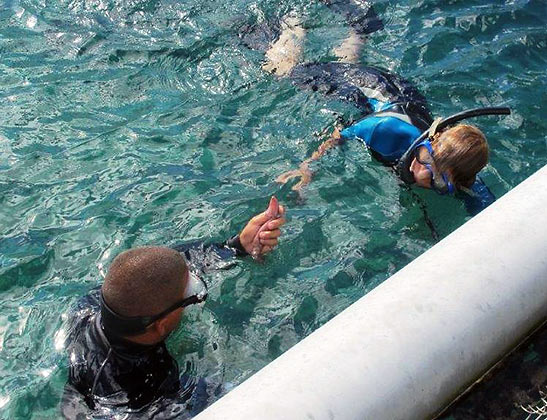 the writer and a dive instructor preparing fish food for the dolphins