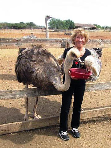 the writer feeding ostriches at a farm
