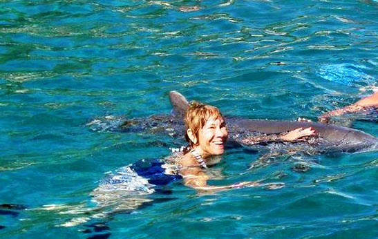writer swimming with dolphins at the Sea Aquarium, Curacao
