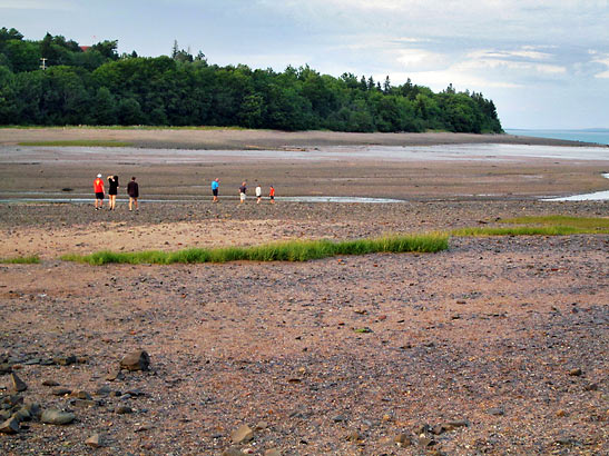 mud flat at low tide, Digby Pines