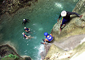 Iguana Mama's waterfall escapade