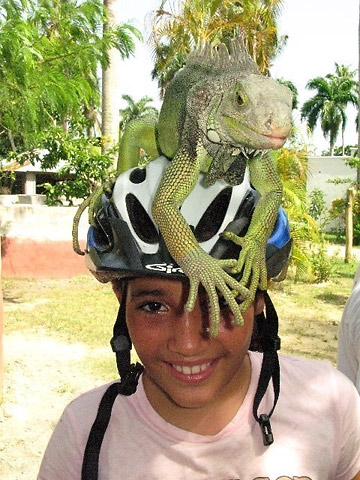 biker with an iguana perched on her cap at an Iguana Mama bike adventure
