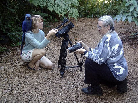 Nancy Forrester, a friend and Baby - a prized blue Brazilian parrot or Lear's Macaw
