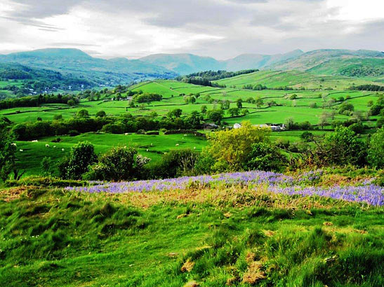 the Lake District countryside