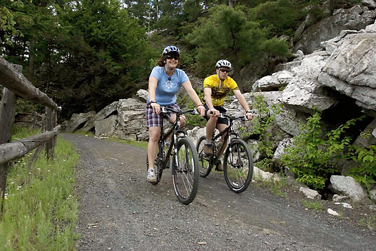 a pair of mountain bikers