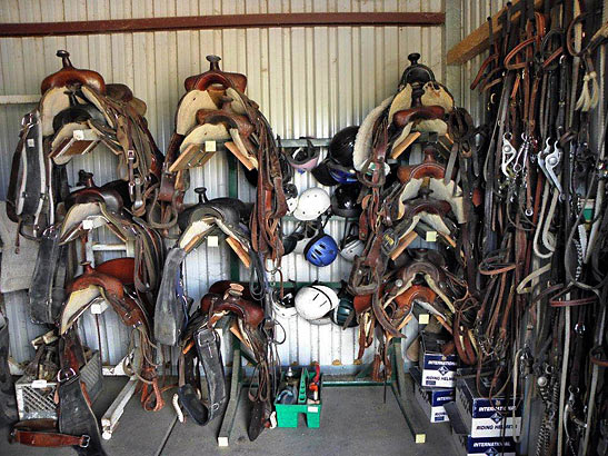 horse saddles