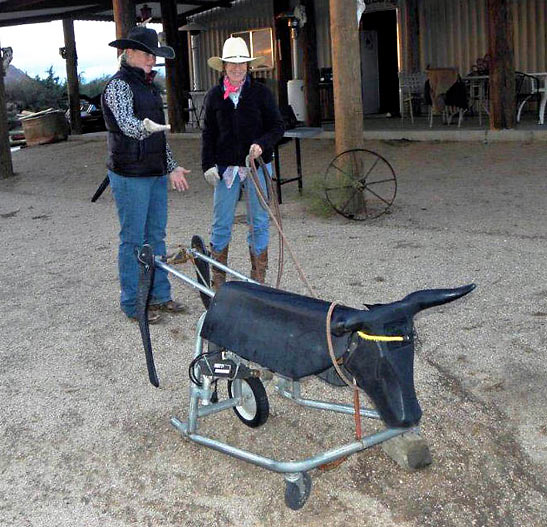 writer going through roping lesson with Elaine Pawlowski