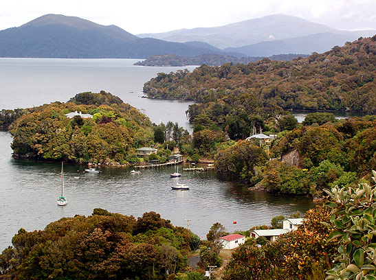 a view of Halfmoon Bay, Stewart Island