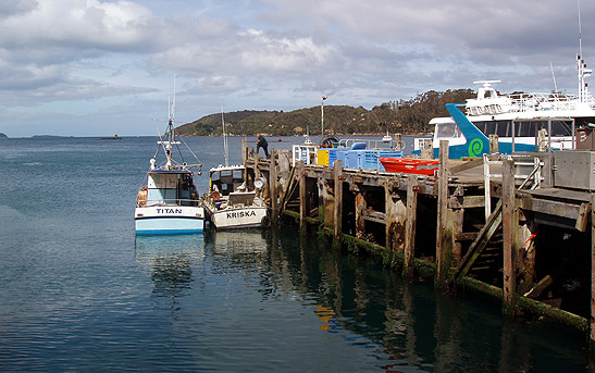 water taxis at a pier, Stewart Island