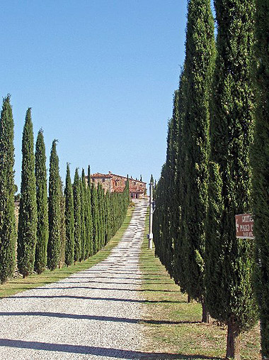 driveway to a stone villa lined by cypress trees, Tuscany