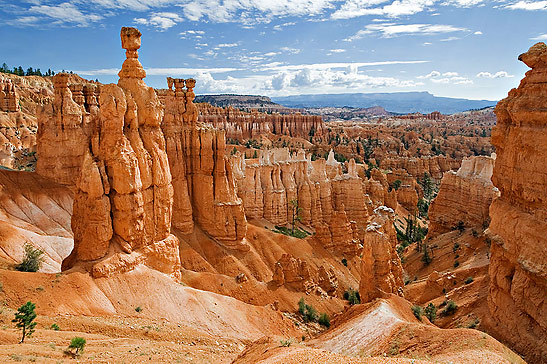 Thor's Hammer/Mad Hunter, Bryce Canyon National Park, Utah