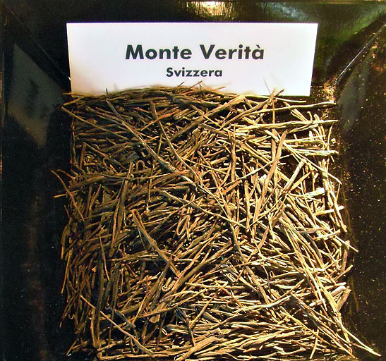 homemade teas at Monte Verita