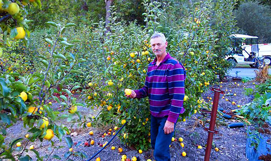Ed Evenson with fruit produce at his Creekside Apple Farm