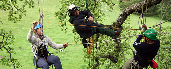 visitors try out the Action Tree Rope Climbing Tours