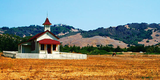 pastoral scene at California's Central Coast