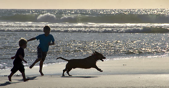 kids and dog at a Del Mar beach