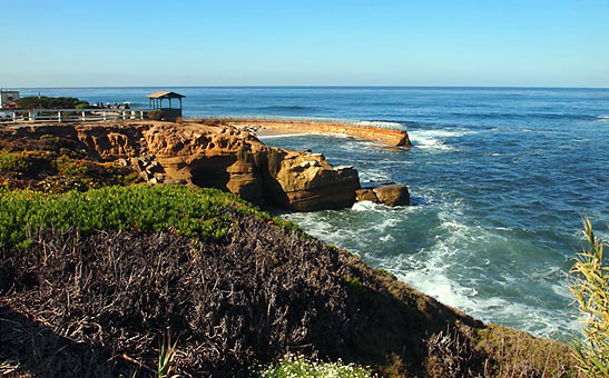 cliff-lined beach in La Jolla