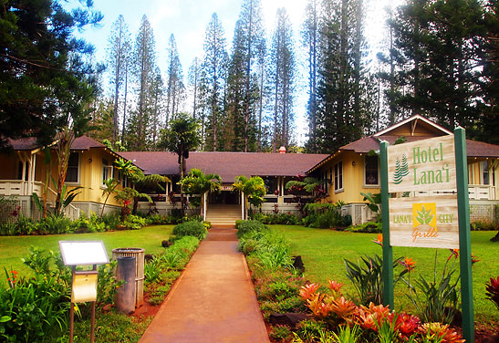 the Lanai Hotel with pine trees in the background