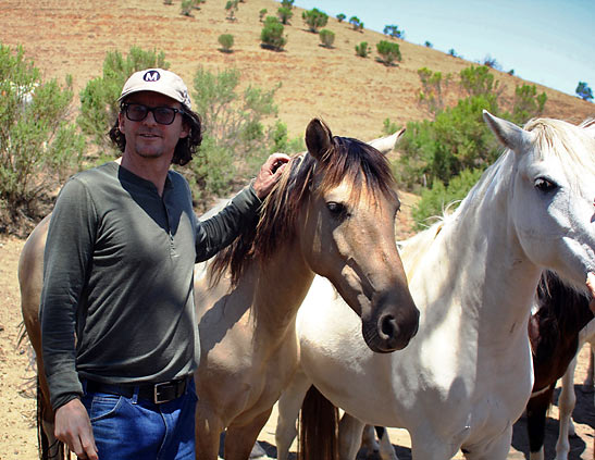 writer with Choctaw horses