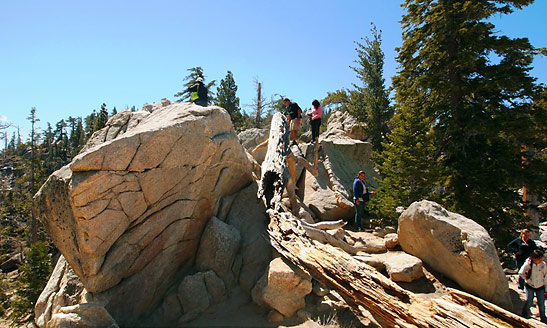 at the top of Mount San Jacinto