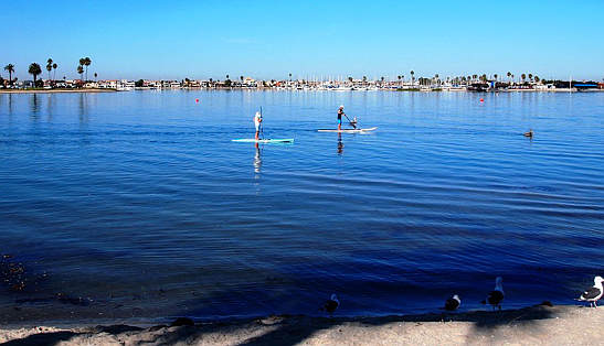 paddleboarding at Paradise Point Resort & Spa