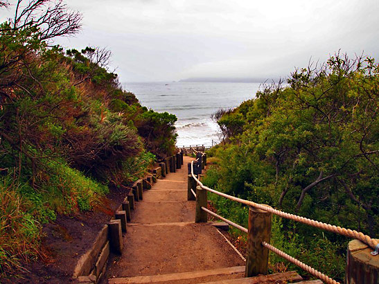 nature path leading to the ocean from the Cliffs Resort