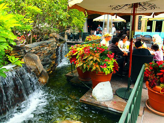 the Lobby Lounge and Koi ponds and waterfalls at the Fairmont Miramar Hotel