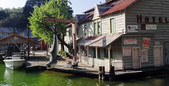 a scene along The Studio Tour tram ride