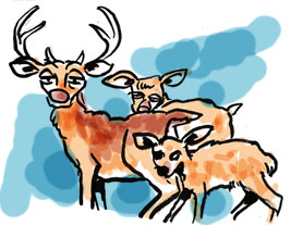 cartoon: a trio of deer