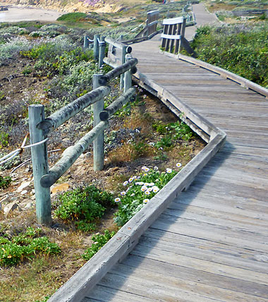 boardwalk along the cliffs near Moonstone Beach Drive near Highway 1