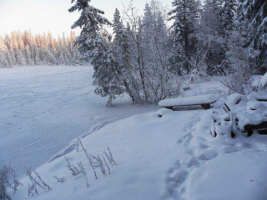 snow-covered abandoned fire pit bear the river