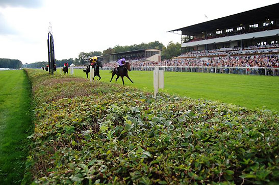 lush green vegetation on the Hoppegarten Racetrack with an ongoing race in the background