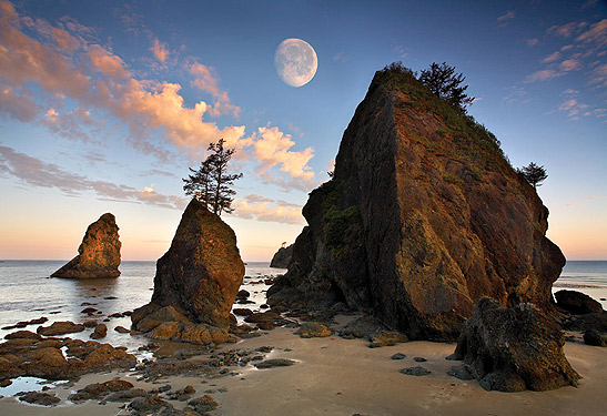 rocks at dusk, Kalaloch Beach, Olympic National Park, Washington